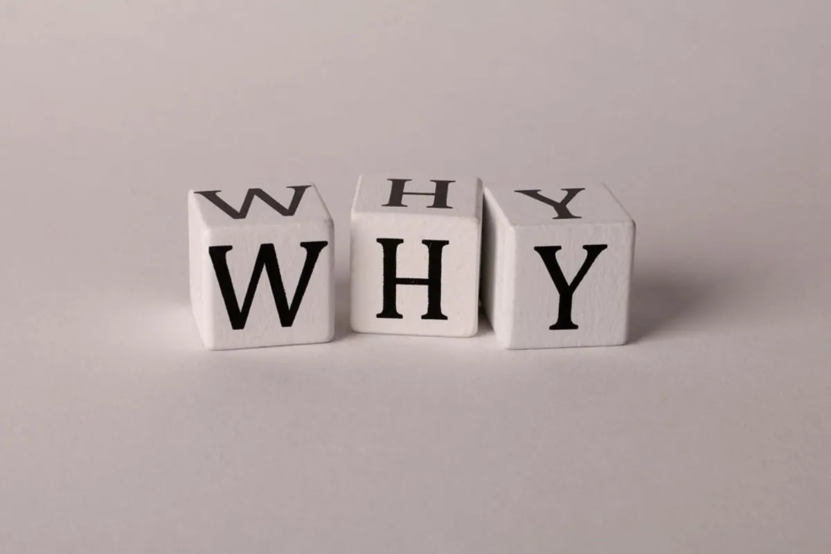 question search